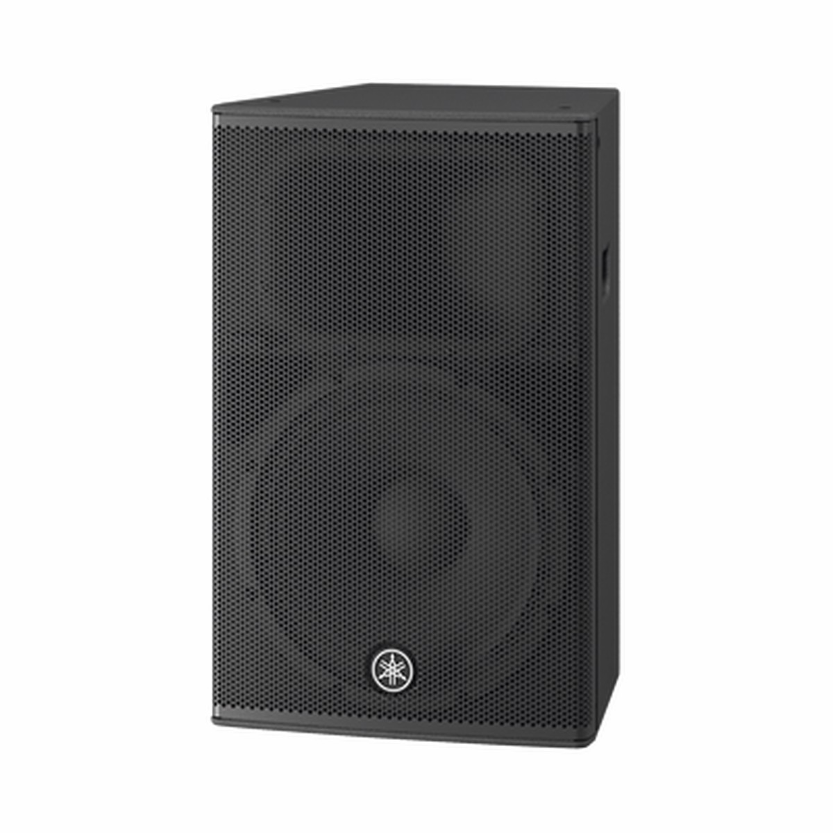 Altavoz Amplificado 15 pulgadas | Potencia: 1000w | Amplificacion Clase-D | Hecho en Madera | Para aplicaciones de Instalacion y Refuerzo Sonoro