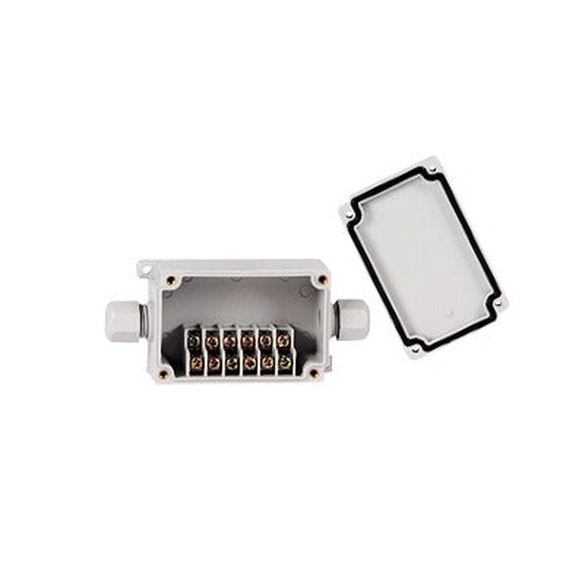 Caja de Conexin Exterior con Conexin Lateral para 6 Lneas (doble tornillo). Incluye Glndulas.