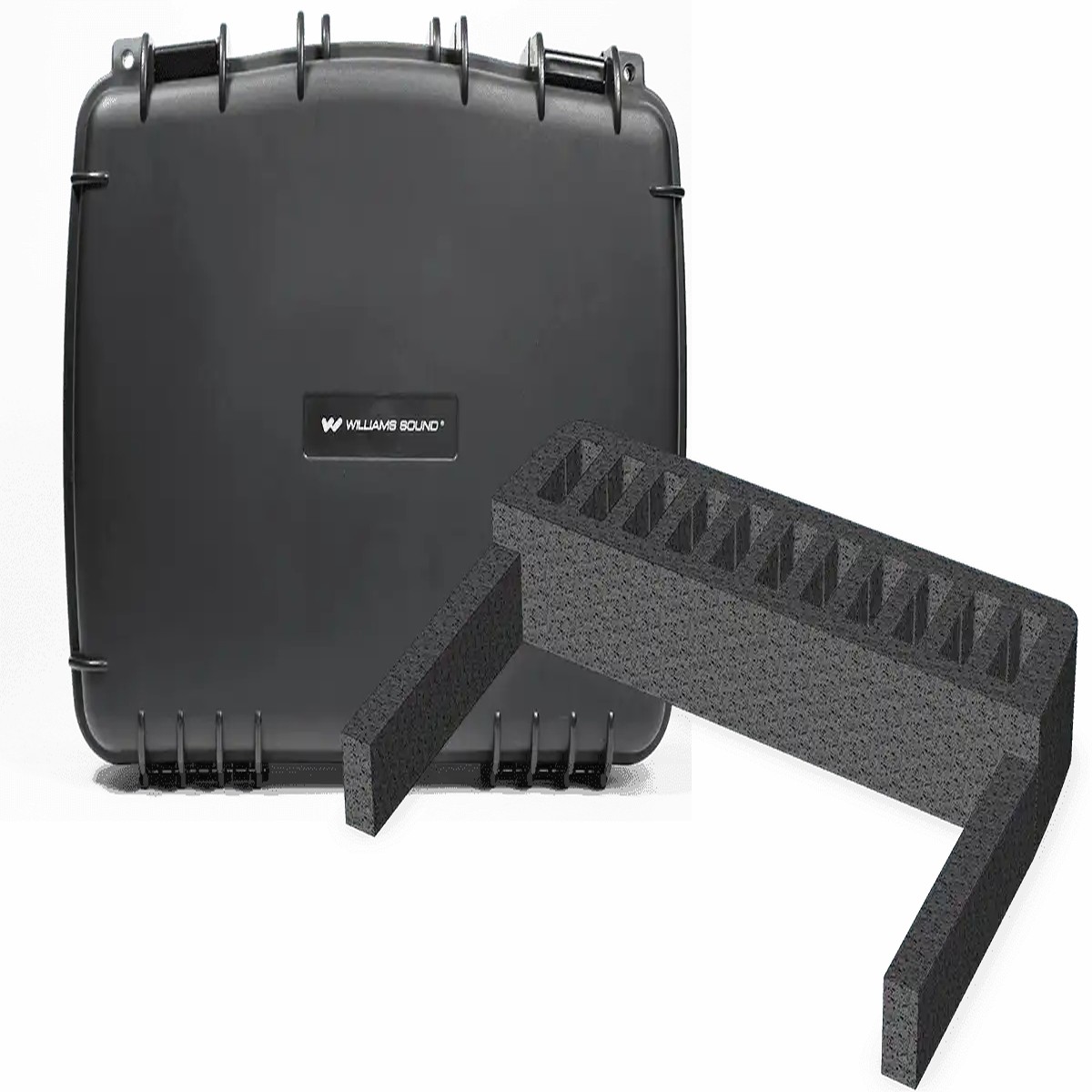 Williams AV FMP 054  11-Slot Foam Insert for CCS 056 Carry Case, Digi-Wave