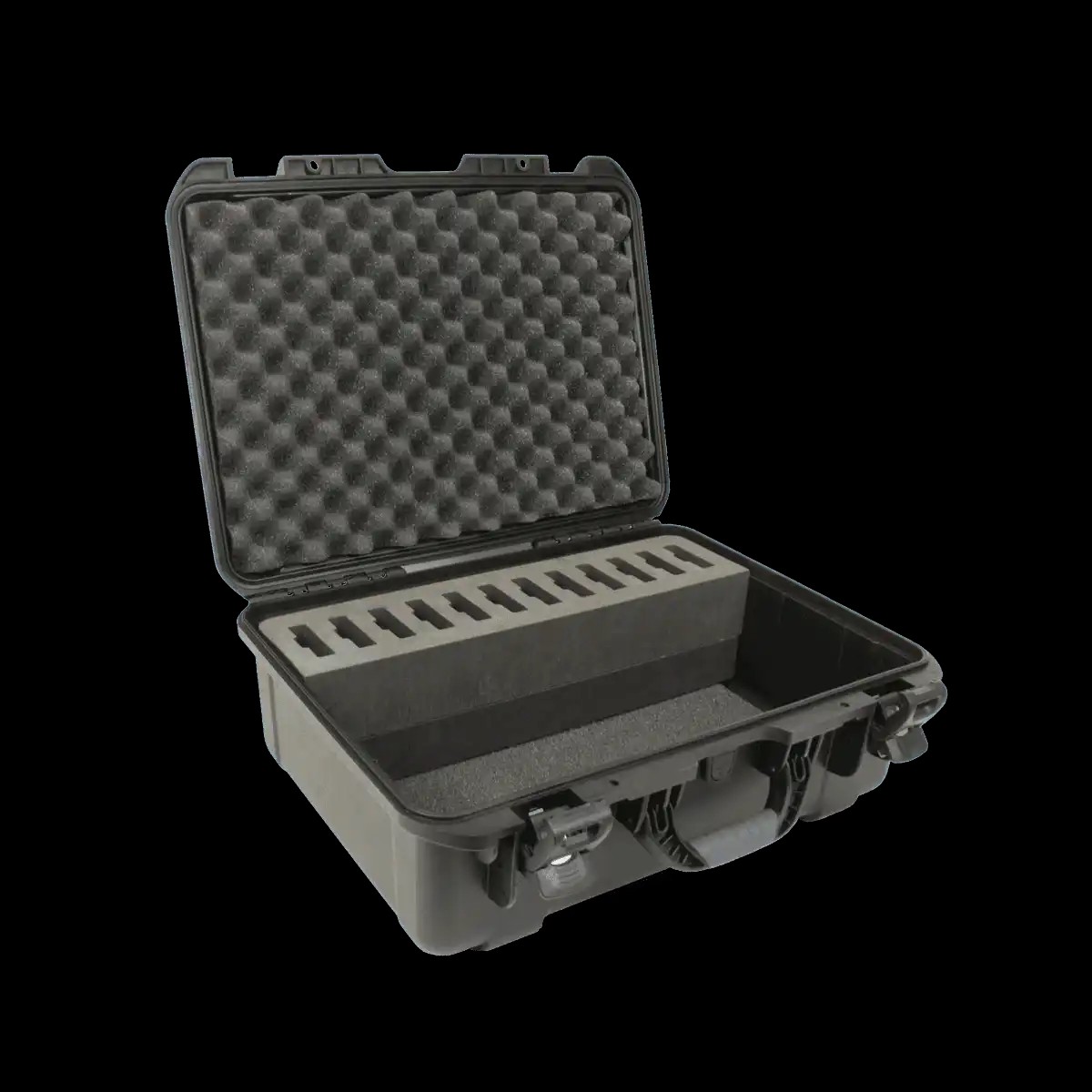 Williams AV CCS 042 DW  Heavy-Duty 12-Slot Digi-Wave Carry Case